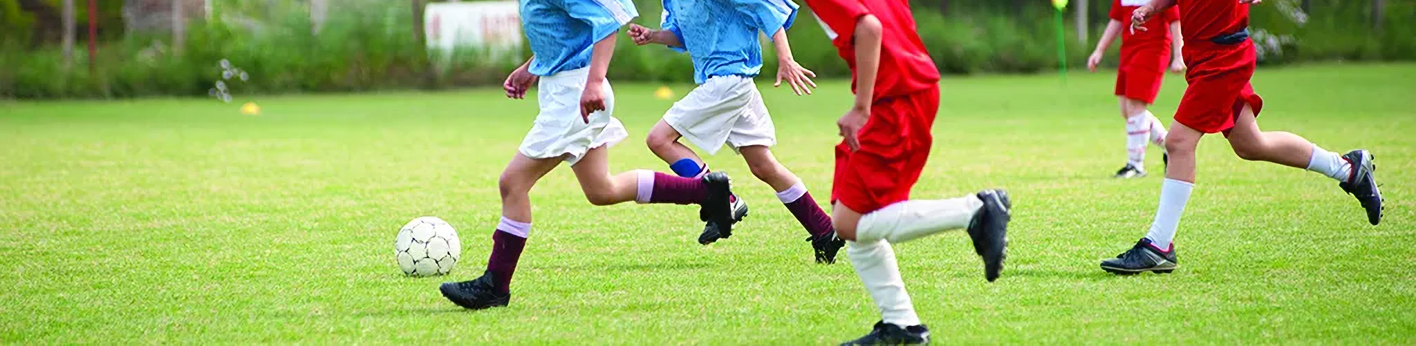 NSL Festival 2025 Sept 6th 7th